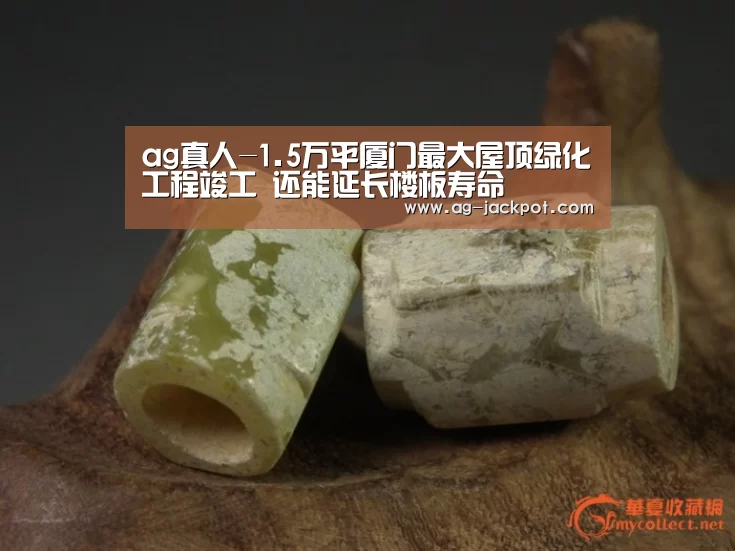 ag真人-1.5万平厦门最大屋顶绿化工程竣工 还能延长楼板寿命(图1) ag真人